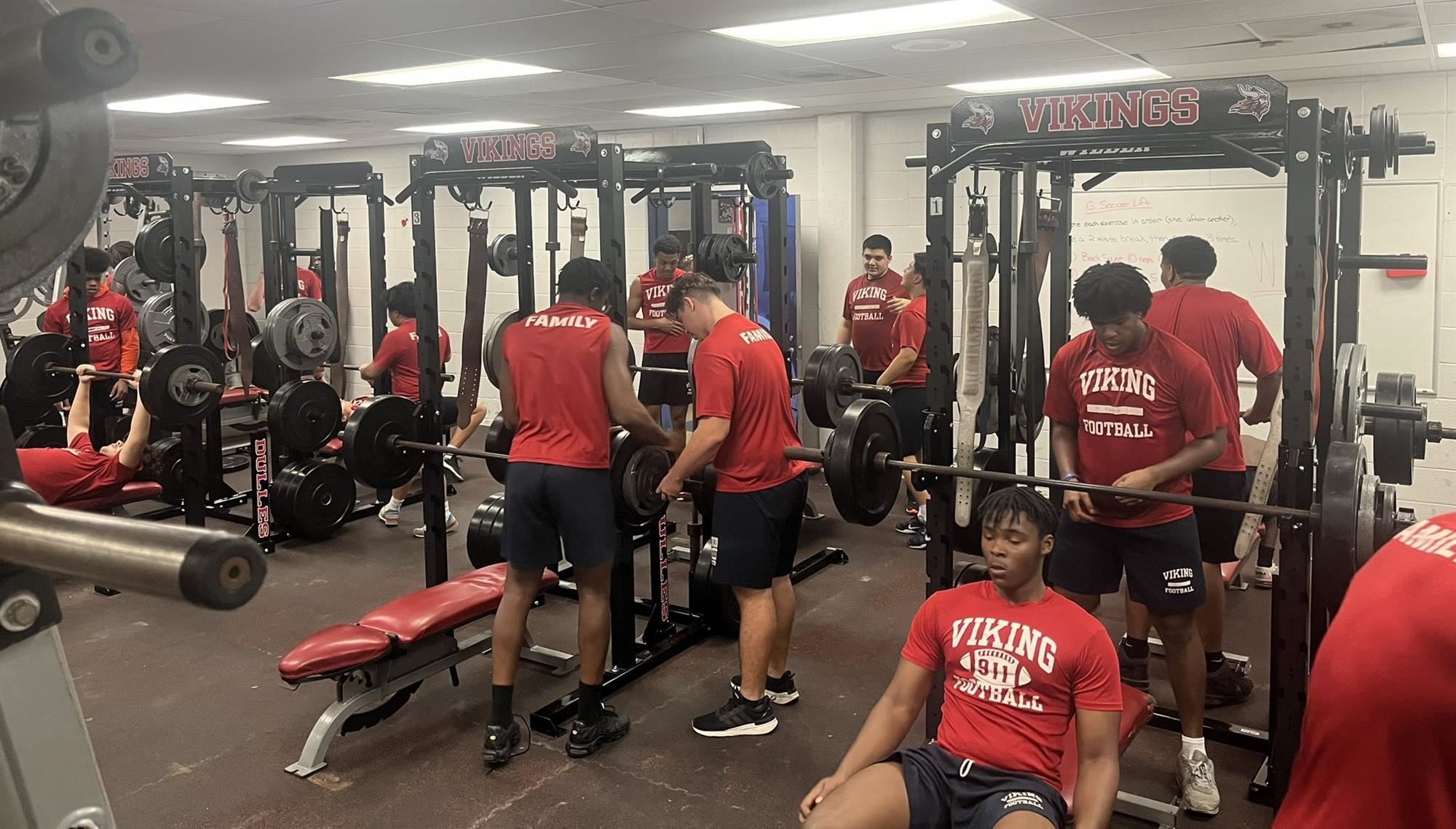DHS Weights 3
